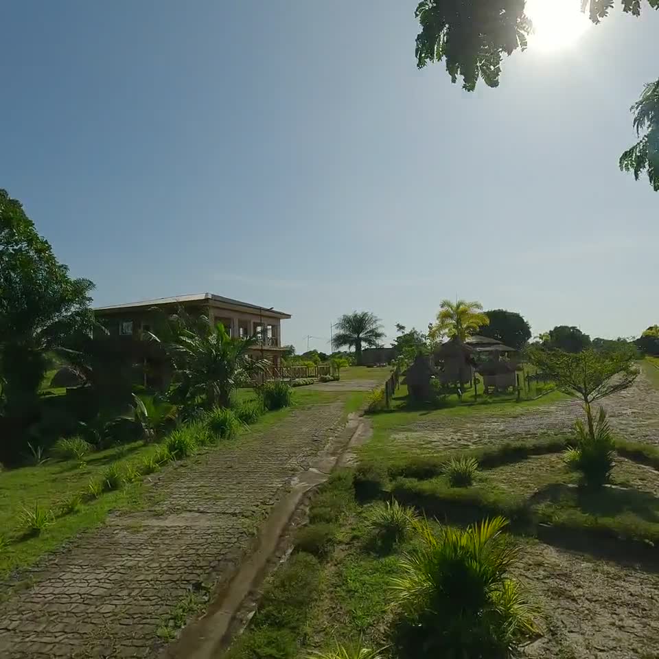Le Mayay a ses racines à Ndossi